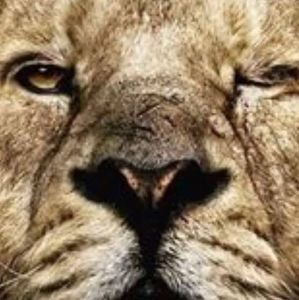 Meet your Posher, Curt